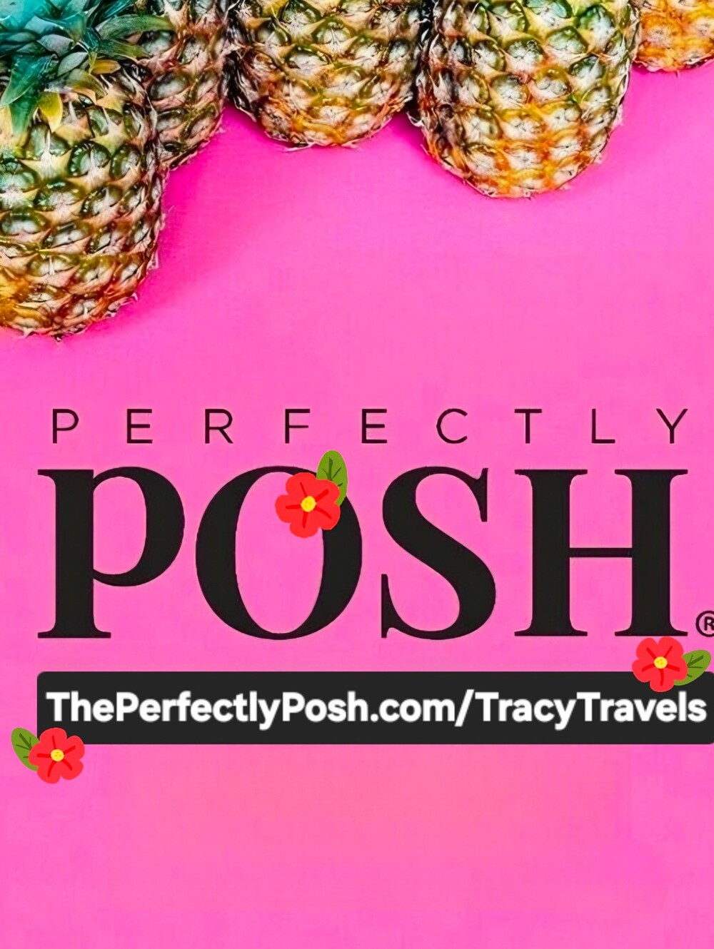 Perfectly Posh Beauty Spa Skincare